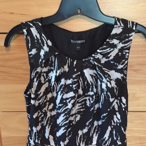 Express Dress - Picture 2 of 4